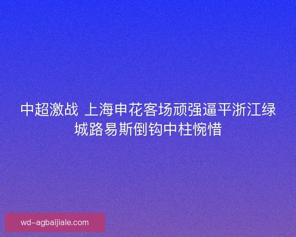 中超激战 上海申花客场顽强逼平浙江绿城路易斯倒钩中柱惋惜